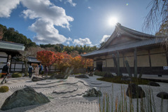 圓光寺【枯山水の庭園「奔龍庭」】20191203