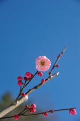 【楠玉】20140216