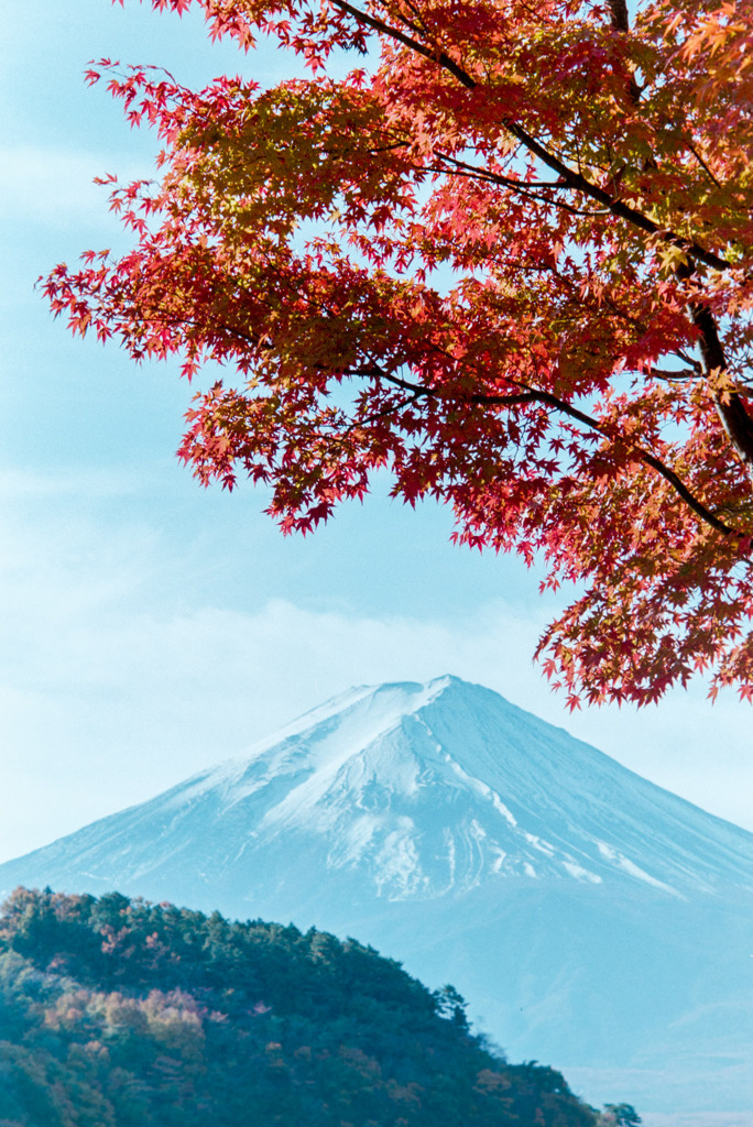 河口湖【富士山と紅葉】⑥20191117
