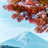 河口湖【富士山と紅葉】⑥20191117
