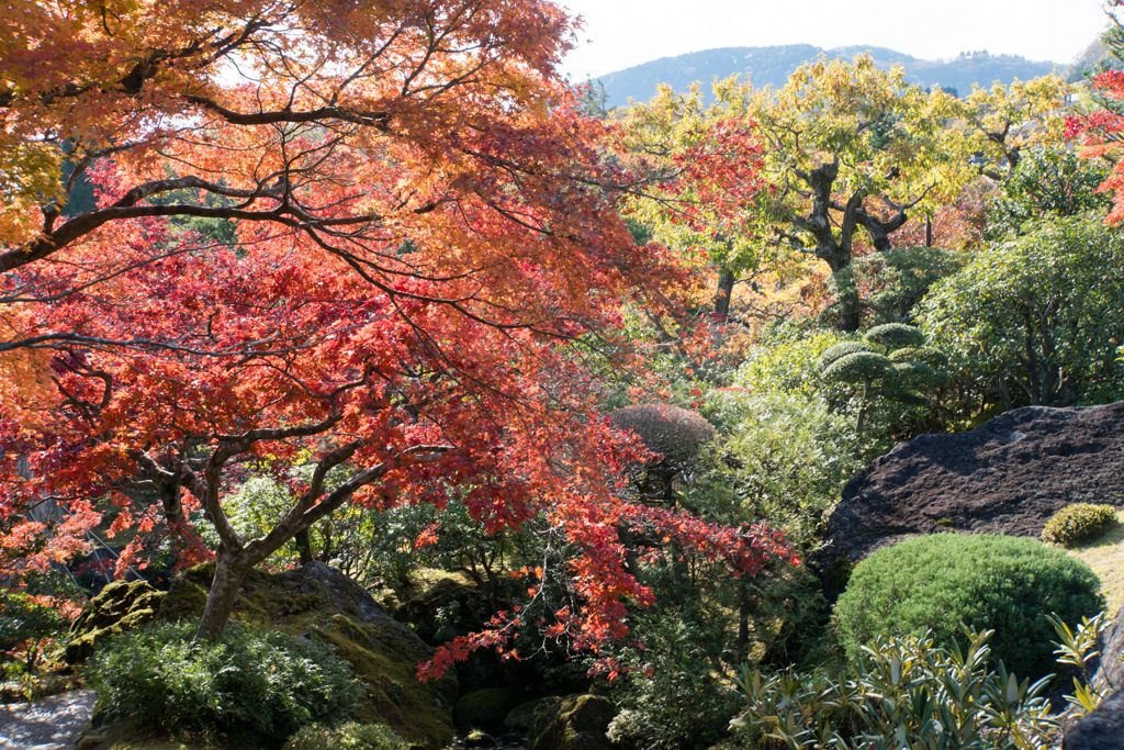 箱根美術館【神仙郷】⑦20211114