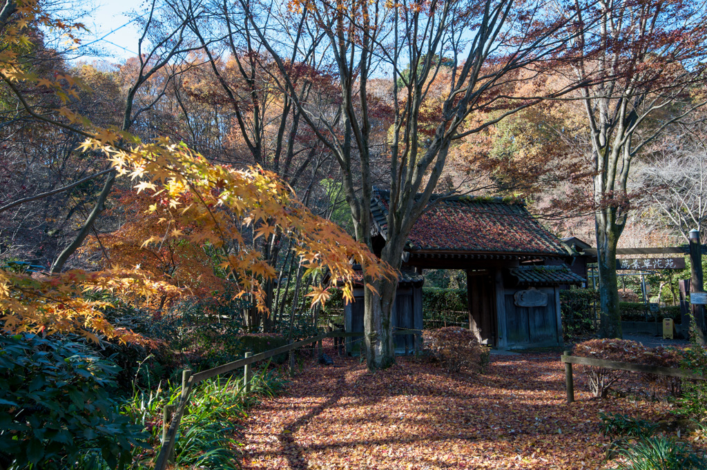 【薬師池公園：旧荻野家の門】①20141206