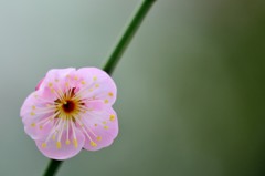 【道知辺】20140211