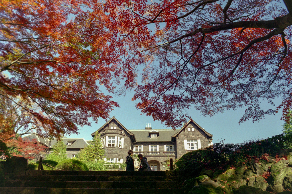 旧古河庭園【洋館と紅葉】20191130