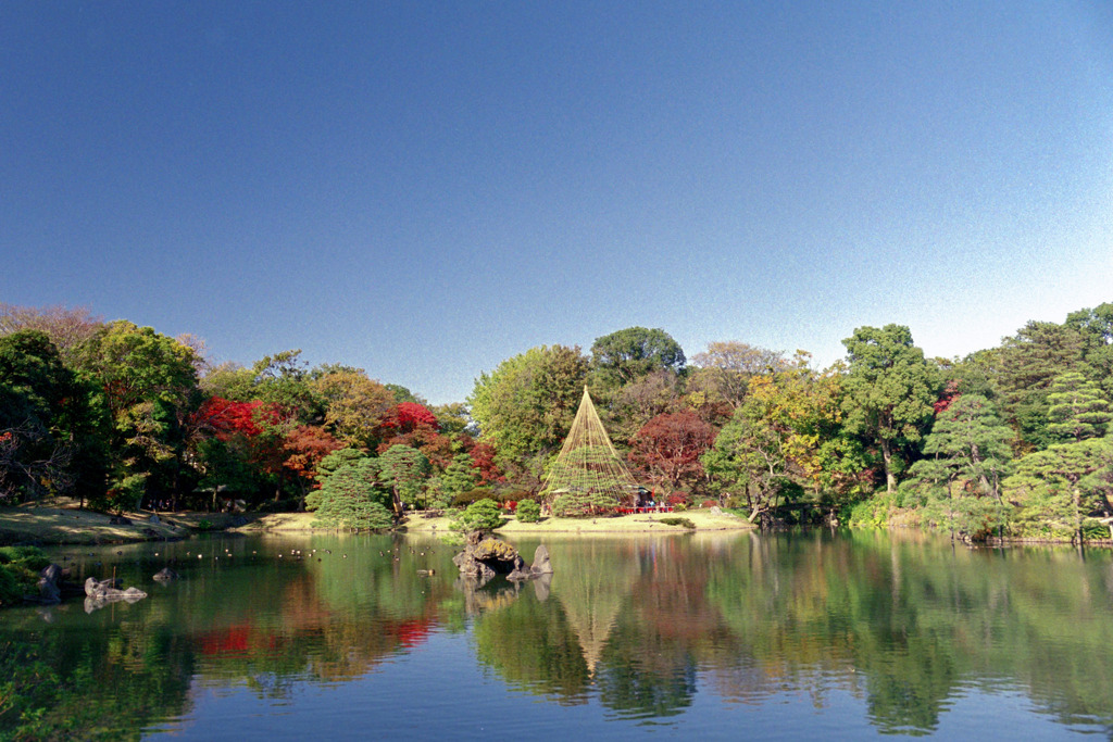 六義園【大泉水の眺め】20191130