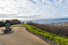 吾妻山公園【菜の花畑：FE  16-35mm f4】②20190104
