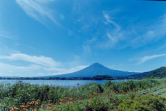 富士五湖巡り【河口湖自然生活館：富士とジニア】20180818