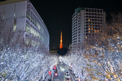 都内夜景巡り【六本木ヒルズ：けやき坂通り】20251216