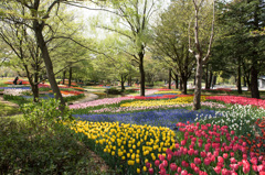 【昭和記念公園(渓流広場)】③20150418