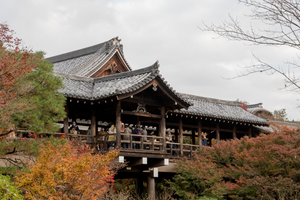 京都の紅葉【東福寺】④20201126