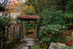 京都紅葉狩り【南禅寺：天授庵】②20201123