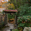 京都紅葉狩り【南禅寺：天授庵】②20201123