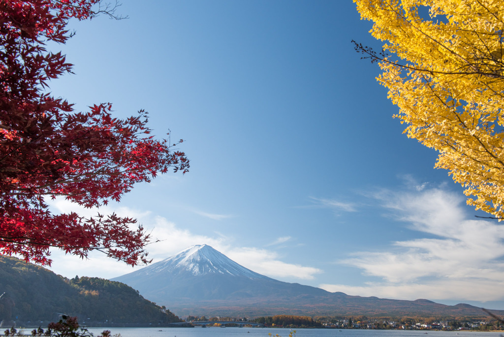 河口湖【富士山と紅葉】①20191117