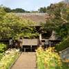 西方寺【参道の眺め】20220917
