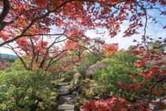 箱根美術館【神仙郷】⑤20211114