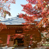 九品仏浄真寺【総門から仁王門付近の紅葉】①20241206