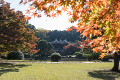 新宿御苑【旧御涼亭の紅葉】①20161126