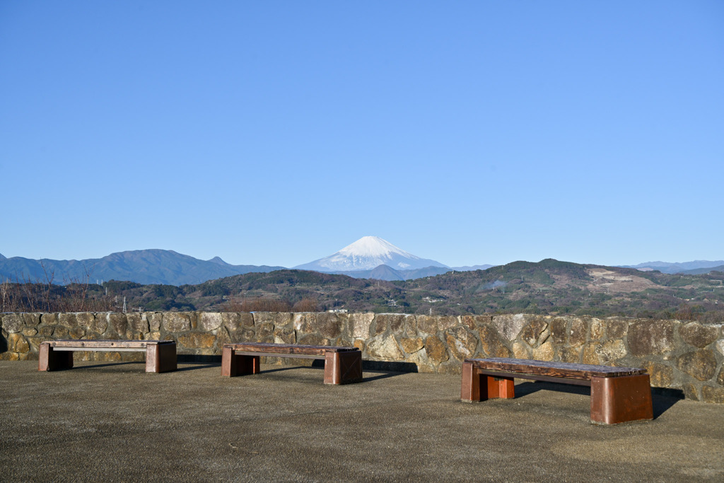 吾妻山公園【芝生広場から見る富士山】20260104