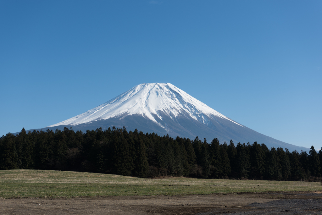 富士山【朝霧高原からの眺め】20161218