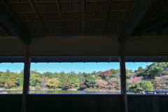 昭和記念公園【日本庭園：陽昌から見る池の景色】①20241119