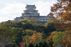 姫路城十景【No5_シロトピア記念公園】20161116