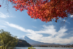 河口湖【富士山と紅葉】④20191117