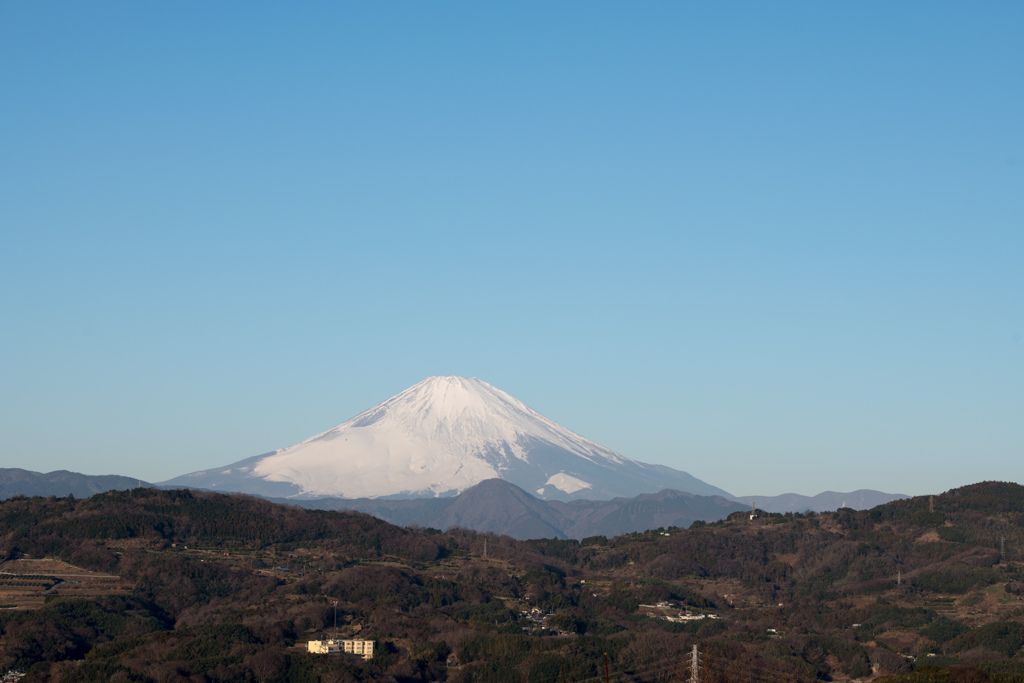 吾妻山公園【富士山のアップ】20230129