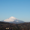 吾妻山公園【富士山のアップ】20230129