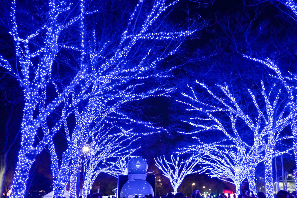 都内夜景巡り【青の洞窟：イルミネーション】②20251216