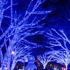都内夜景巡り【青の洞窟：イルミネーション】②20251216