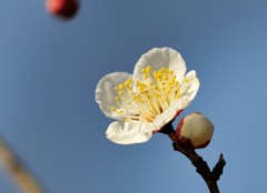 【翁梅】20140222