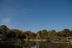 六義園【大泉水の紅葉】①20181201