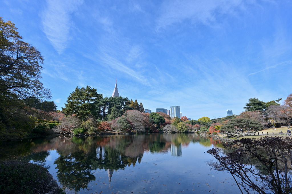 新宿御苑【中の池付近の紅葉】20251124