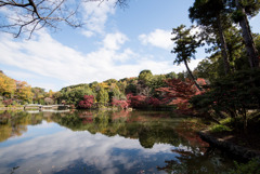 薬師池公園【薬師池の紅葉】①20171119
