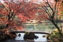 六義園【紅葉：渡月橋】20171202