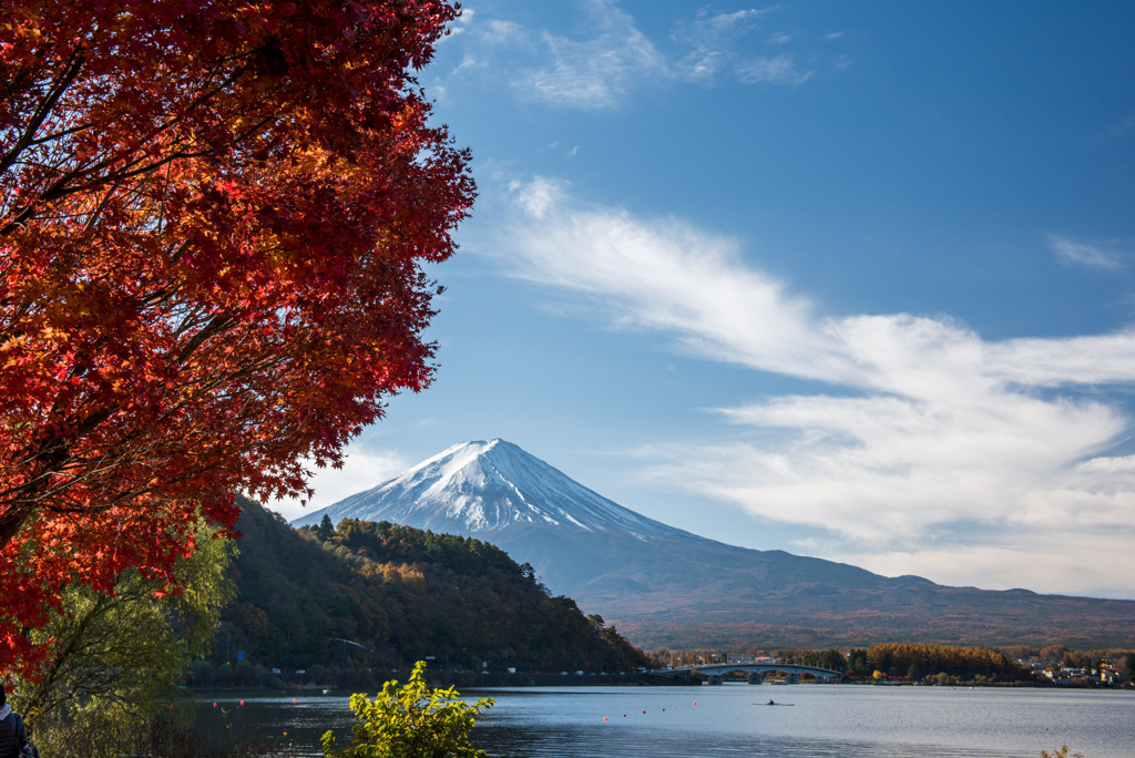 河口湖【富士山と紅葉】③20191117