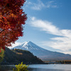河口湖【富士山と紅葉】③20191117
