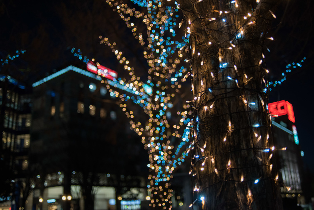 港北東急の夜景【35mm f2：絞りf2.0】②20181224