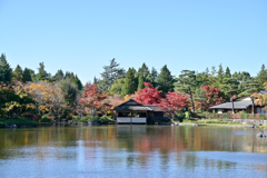 昭和記念公園【日本庭園：池側から見る清池軒】①20241119