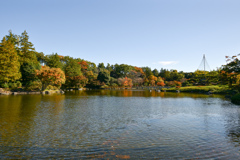 14昭和記念公園【日本庭園：清池軒から見た池の景色】②20241119