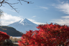河口湖【富士山と紅葉】②20191117