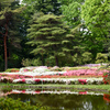 神代植物公園【つつじ園：遠景】③20240425