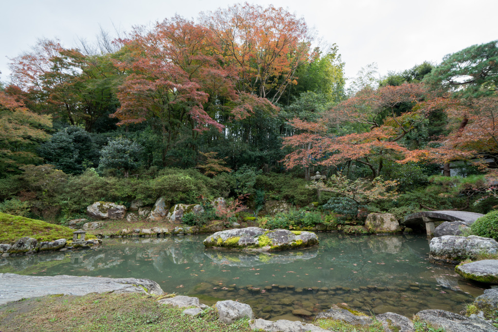 京都の紅葉【青蓮院門跡】①20201126