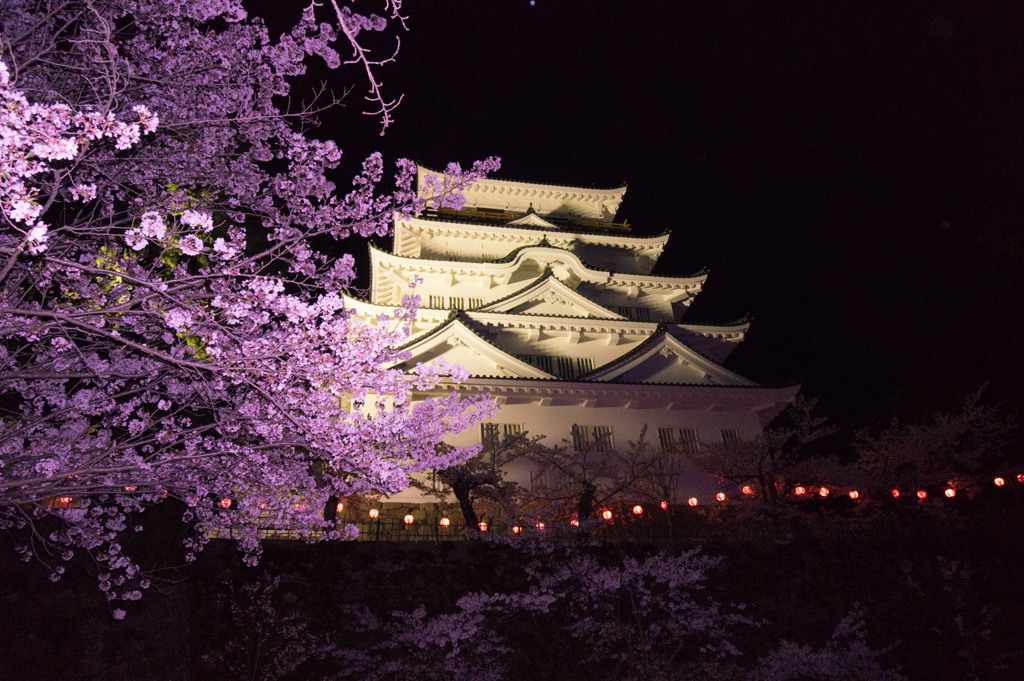 【福山城の桜】④20170410