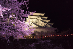 【福山城の桜】④20170410