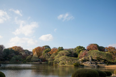 【六義園(全景)】20151212