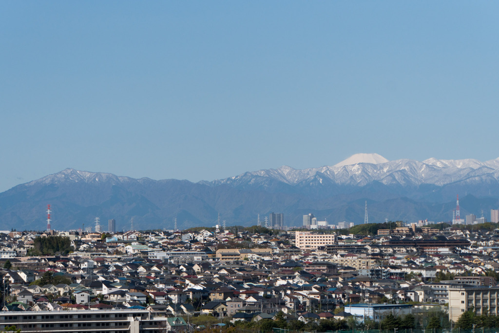 近所へ散歩【遠くに見る富士山と大山】20200414