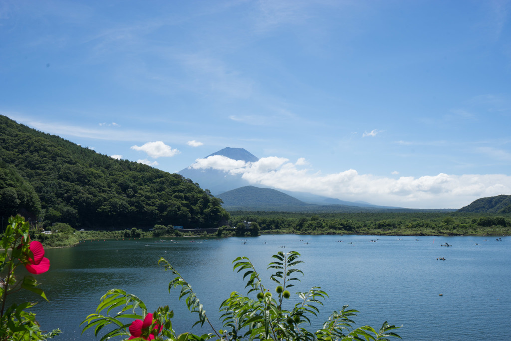 富士五湖巡り【精進湖から見る富士】①20180818