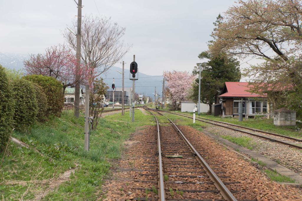 東北お花見ツアー【フラワー長井線の桜】20180423