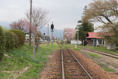 東北お花見ツアー【フラワー長井線の桜】20180423